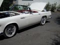 1956 Thunderbird Short Walk around report