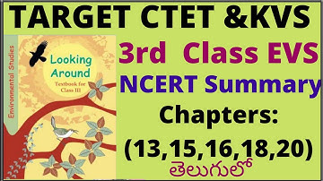 3rd Class EVS NCERT Summary for CTET&KVS