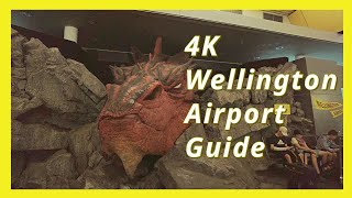 4K Wellington Airport New Zealand Guide screenshot 4