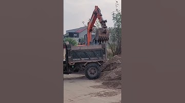 Máy múc doosan cát lên thùng xe công nông #shsorts