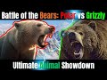 Polar bear vs grizzly bear  battle of the bears