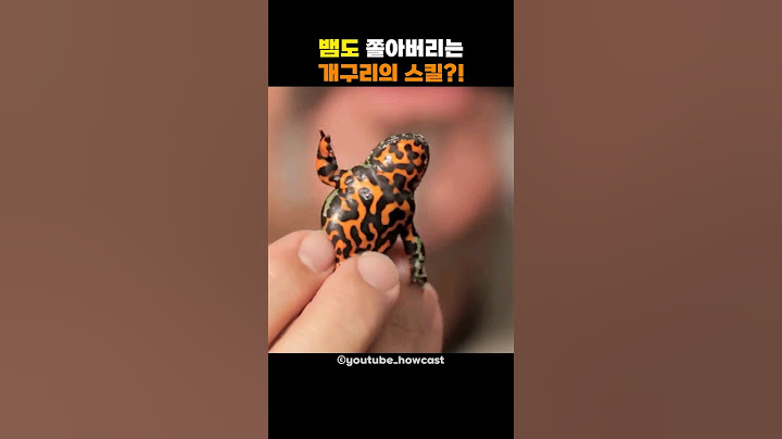 뱀도 쫄아버리는 개구리의 스킬?!