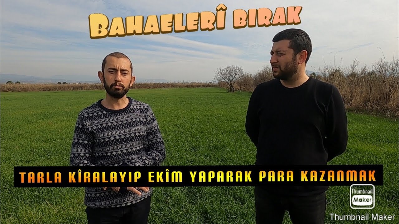 20 DÖNÜM BUĞDAY TARLASINDAN YILDA KAÇ PARA KAZANILIR ?