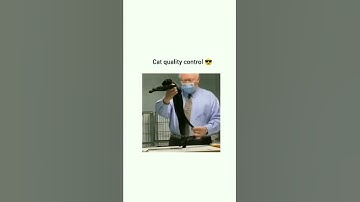 cat quality control 😂 #OMG#cat_delight #meme #shorts
