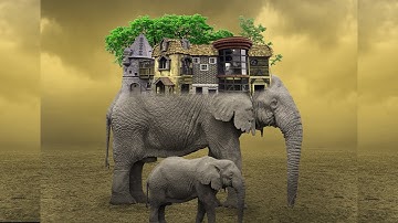 Adventure Elephant Photo Manipulation in Photoshop 2020 | Photoshop Tutorial | Manipulation -1