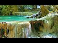 Calming Birds chirping and waterfall sounds in Thailand (10 hours) Nature Noise. Water flow.