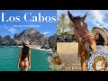 SPEND A WEEK W/ ME IN LOS CABOS MEXICO | 21st birthday, adventuring w/friends, clubbing 🌵🪅🎉🍾💃🏻