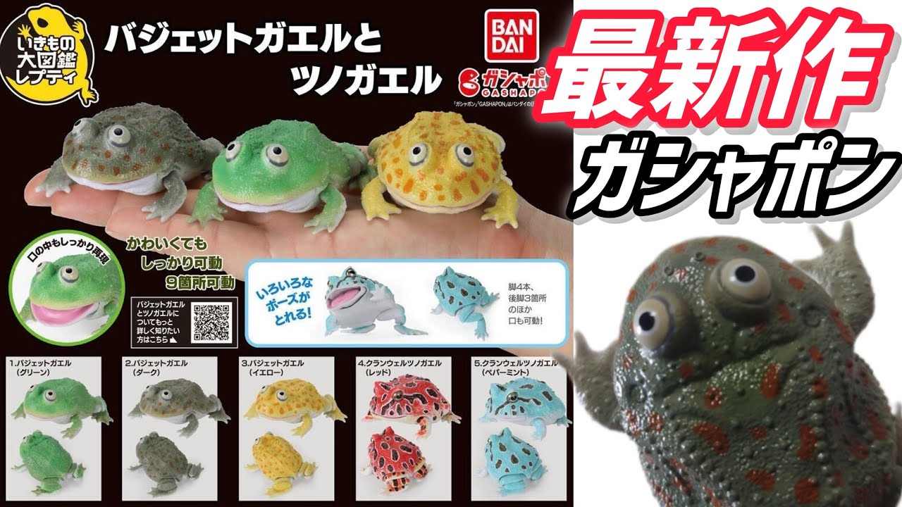 Capsule Toy] Repti Animal Encyclopedia 'Budgett's Frog and Horned