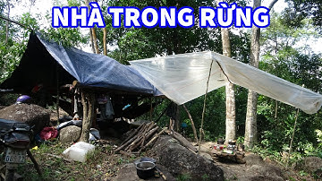 VÀO RỪNG SỐNG, DI CƯ RỪNG MỚI, NGỦ RỪNG, CUỘC SỐNG HOANG DÃ - Mùa Mật Ong Rừng 2023 | T21