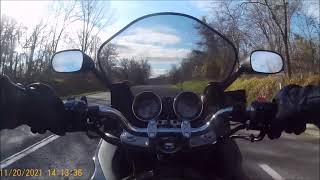 Savage-44 Paradise Dream