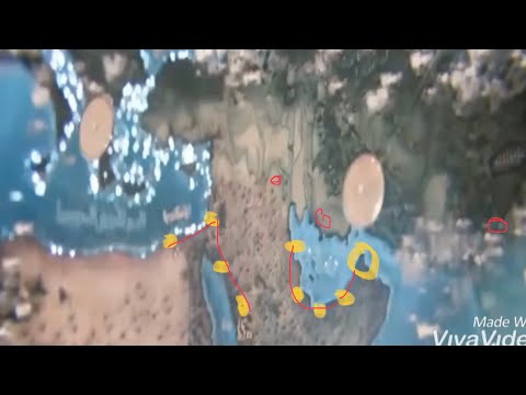 عاجل لماذا حدث هذا