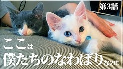 Life With Gris And Hoa Youtube