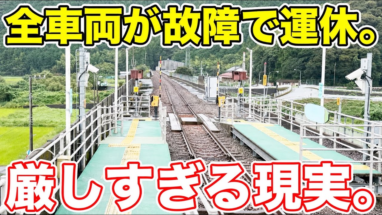 全車両故障で運休！3ヶ月ぶりに再開を果たした路線が特徴的すぎた！