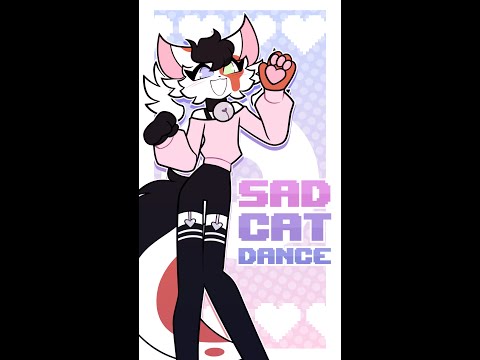 🔥 Sad Cat Dance Animation Meme Ianite Edition Full (the r