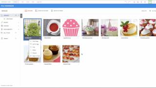 Website.com: The File Manager