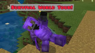 Minecraft: Personal Survival World Tour!