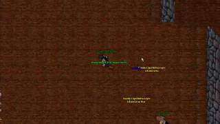 Sorc Texx Bug Abuse Net Worth