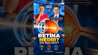 Retina Nedir Ve Görme Nasıl Oluşur?