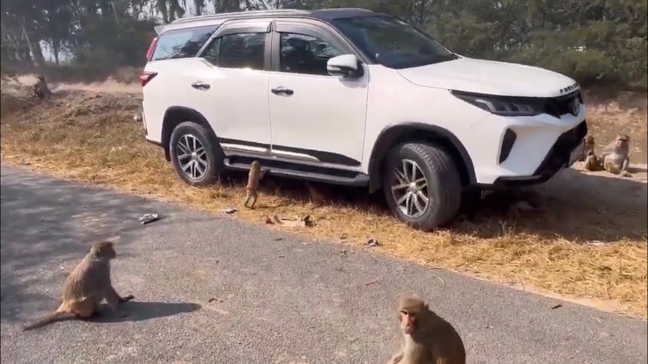 Monkesh bhai ki seva—-05