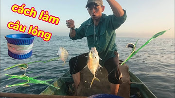 Bí quyết làm câu lông, để câu cá biển kiếm tiền triệu.
