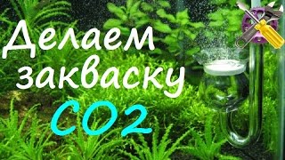 Лучший рецепт закваски CO2 для газогенератора! Лучший рецепт закваски CO2 для газогенератора!