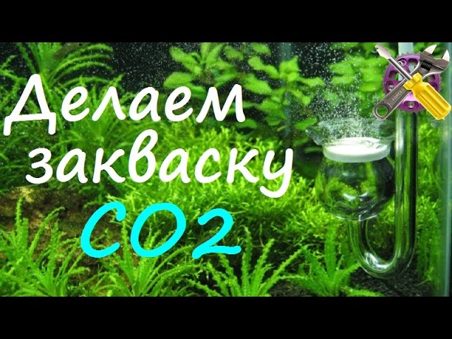 Лучший рецепт закваски CO2 для газогенератора!