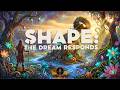 SHAPE THE DREAM RESPONDS - Experimental Progressive Shamanic Rock