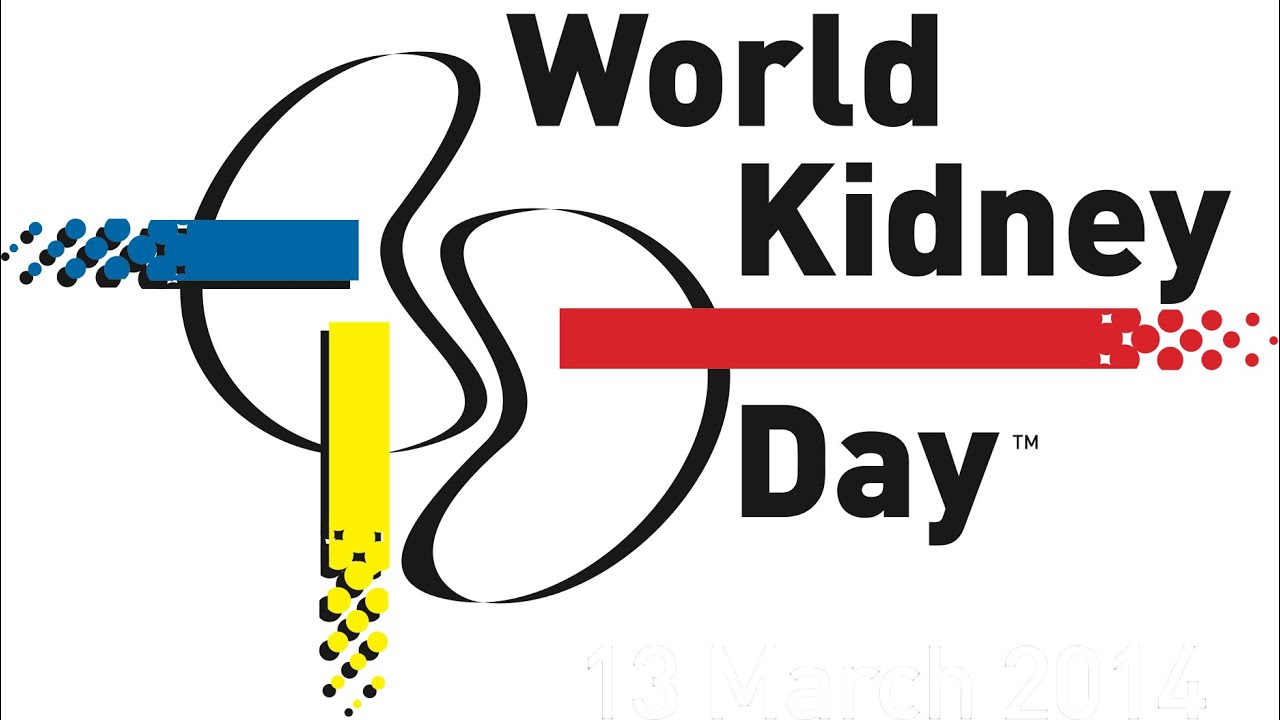 How Do Most Kidney Damaging Diseases Affect The Kidneys