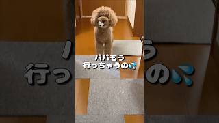 パパともっと一緒にいたい…