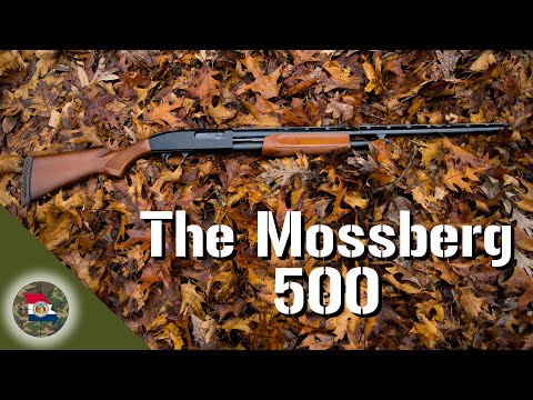 Video: Mossberg 500: specifications thiab duab