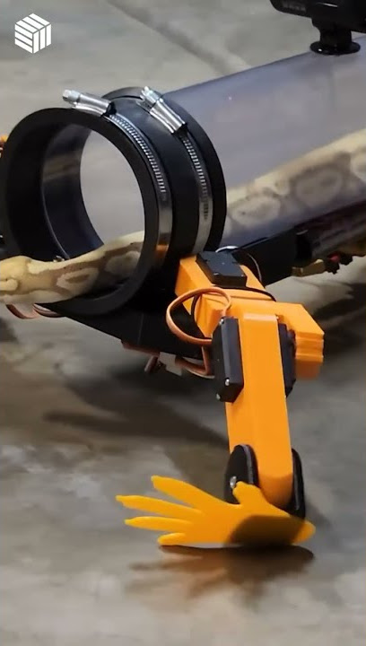 Engineer builds robotic legs for snakes so they can walk, shares video on YouTube @allenpan