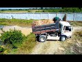 Start a New Project !! Land Filling Delete Pond Use Dozer &amp; Truck 5T Unloading Soil Into Water