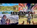 ANOTHER 14 Days in Japan Vlog - Tokyo, Kyoto, Nara, Gifu, Takayama, Shirakawago, Gero