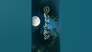 وأن ليس للإنسان إلا ما سعى | ياسر الدوسري | تلاوة جميلة ✨