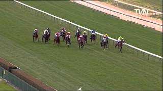 2008 Memsie Stakes- Weekend Hussler