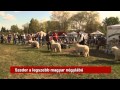 Szeder a legszebb magyar négylábú