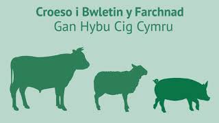 Bwletin y Farchnad Rhagfyr 2021