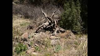 Chavez and Beaver Brook Trail Loop, Golden, Colorado, USA @Gennady107