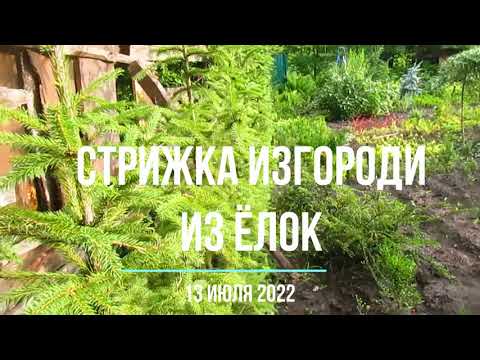 КАК И КОГДА