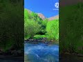 صدای بلبل در طبیعت زیبا ولسوالی بهارک بدخشان ترند Nature صدای بلبل در طبیعت زیبا ولسوالی بهارک بدخشان ترند Nature