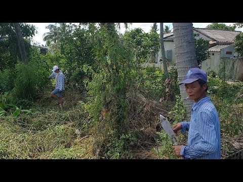 Tập 48: Anh Nông Dân Quăng Cái Liềm Bỏ Chạy Khi Thấy Cặp Hổ Sáp Quấn Quýt Nhau & Cuộc Truy Tìm... Tập 48: Anh Nông Dân Quăng Cái Liềm Bỏ Chạy Khi Thấy Cặp Hổ Sáp Quấn Quýt Nhau & Cuộc Truy Tìm...
