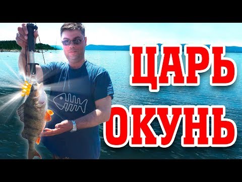 Царь-окунь или открытие сезона жидкой воды 2018