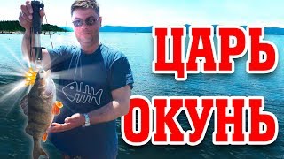 Царь-окунь или открытие сезона жидкой воды 2018