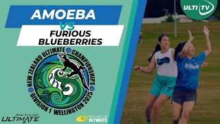 Amoeba vs Furious Blueberries — WOMENS — NZUCD1 2025