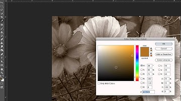 basic duotone (press plate version)