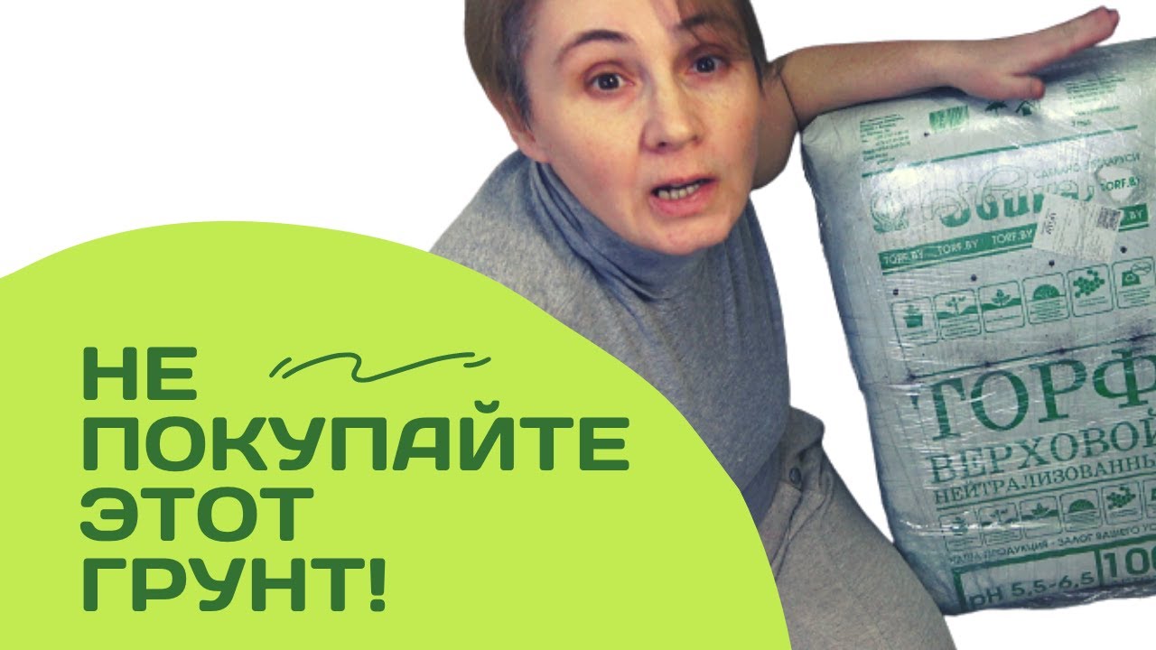 Производитель грунта оставил меня без рассады! Торф Двина. Результаты ...