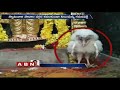 Viral: Eagle spotted inside at Korutla Venkateswara Swamy temple