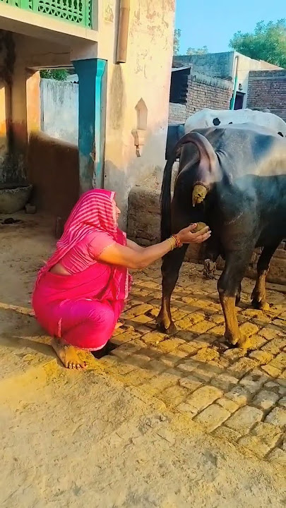 🤫🤫🤫dhire dhire nach nach# short #viral #funny# comedy# video 🤔🤔🤔🤔🤔😂🤣😂🤣😂🤣😂🤣😂🤣