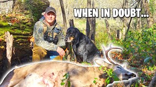 JUST BACK OUT AND GET A DEER TRACKING DOG!!! - The Callie Chronicles
