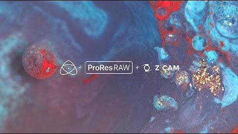 UN/SEEN - Shot on Z CAM F6 + NINJA V in ProRes RAW by James Tonkin (SDR version)